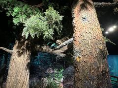 -温州博物馆