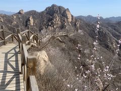 -大岭沟猕猴桃谷风景区