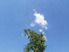 -月湖公园