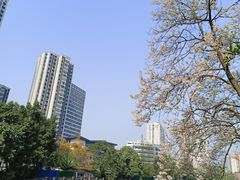 -红星桥(地铁站)