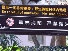 -苏州上方山国家森林公园