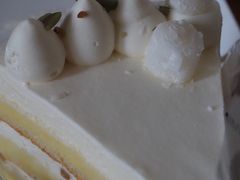 海盐冰岛啵啵-MIMI FASO(古仓店)