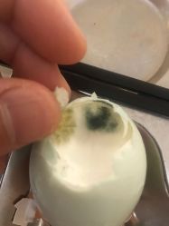 -皇家月府月子中心(沈阳店)