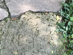 -南京金牛湖风景区