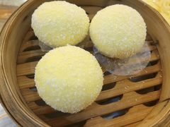 椿记流沙包-椿记烧鹅(叠彩店)