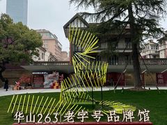 -华山263老字号品牌馆