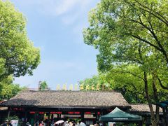 -西溪国家湿地公园