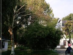 -堤角公园