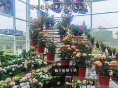 -盈香心动乐园