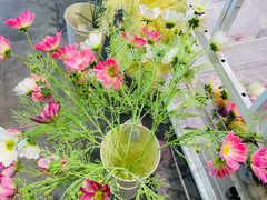 -KKV(南京新城市广场店)