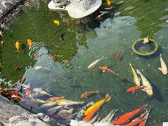 -华夏良子·足道SPA艾灸(龙潭路店)