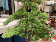 -顺峰(农展馆店)