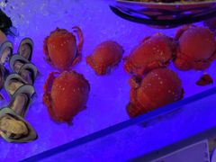 -星璞餐厅(深铁塘朗城君璞酒店)