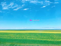 -青海湖国家重点风景名胜区