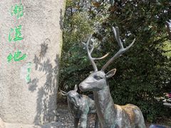 -溱湖国家湿地公园