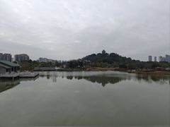 -王借岗森林公园