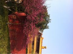 iphone_upload_pic-横店影视城明清宫苑园区