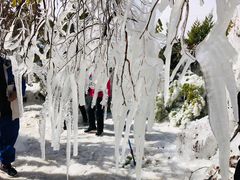-天山神秘大峡谷