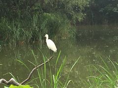 -新江湾城公园