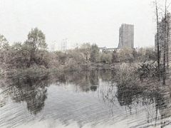 -新江湾城公园