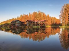 -黄海国家森林公园