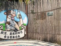 -台山颐和温泉城