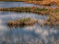 -野鸭湖国家湿地公园