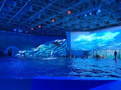 -海合安青岛极地海洋公园