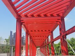 -游心咖啡(青山红坊店)