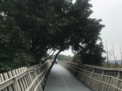 -福道