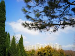 -白塘生态植物园