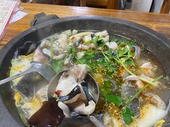 -鸭嘴鱼
