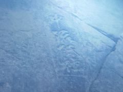-白鹤梁水下博物馆
