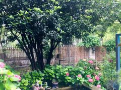 -谷咖啡·鲜花绿植花园餐厅