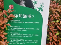 -苏州太湖国家湿地公园