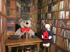 -济州岛泰迪熊博物馆