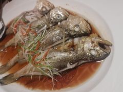 -宝轩渔府·老字号海鲜·正宗津菜(水上店)