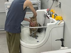 -comecome来吧宠物(奥克斯中心店)