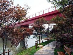 -青枫公园