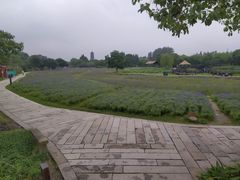 -乌镇东栅景区