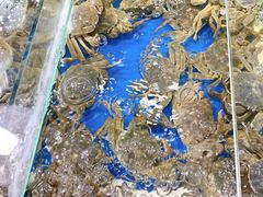 -王四营海鲜市场