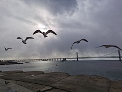 -星海广场