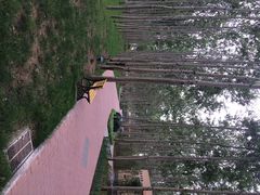 iphone_upload_pic-仁和公园(顺义区)