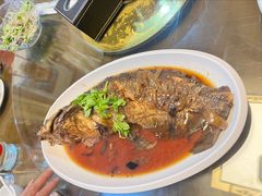 清蒸清江鱼-京天红酒家(虎坊路店)