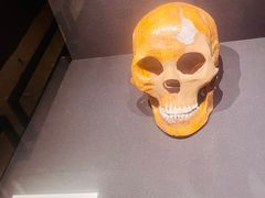 -上海崧泽遗址博物馆