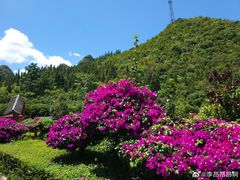 -三星授权体验店(西新街店)