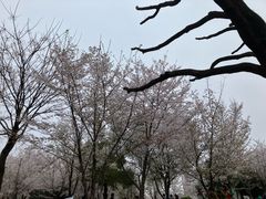 -堤角公园