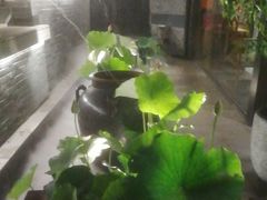 -花锦堂·隐庐
