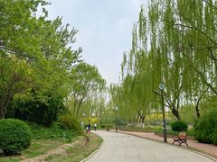 -南翠屏公园