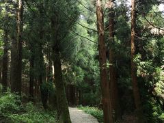 -山王坪喀斯特国家生态公园